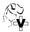 Dýraspítalinn Garðabæ Netverslun logo