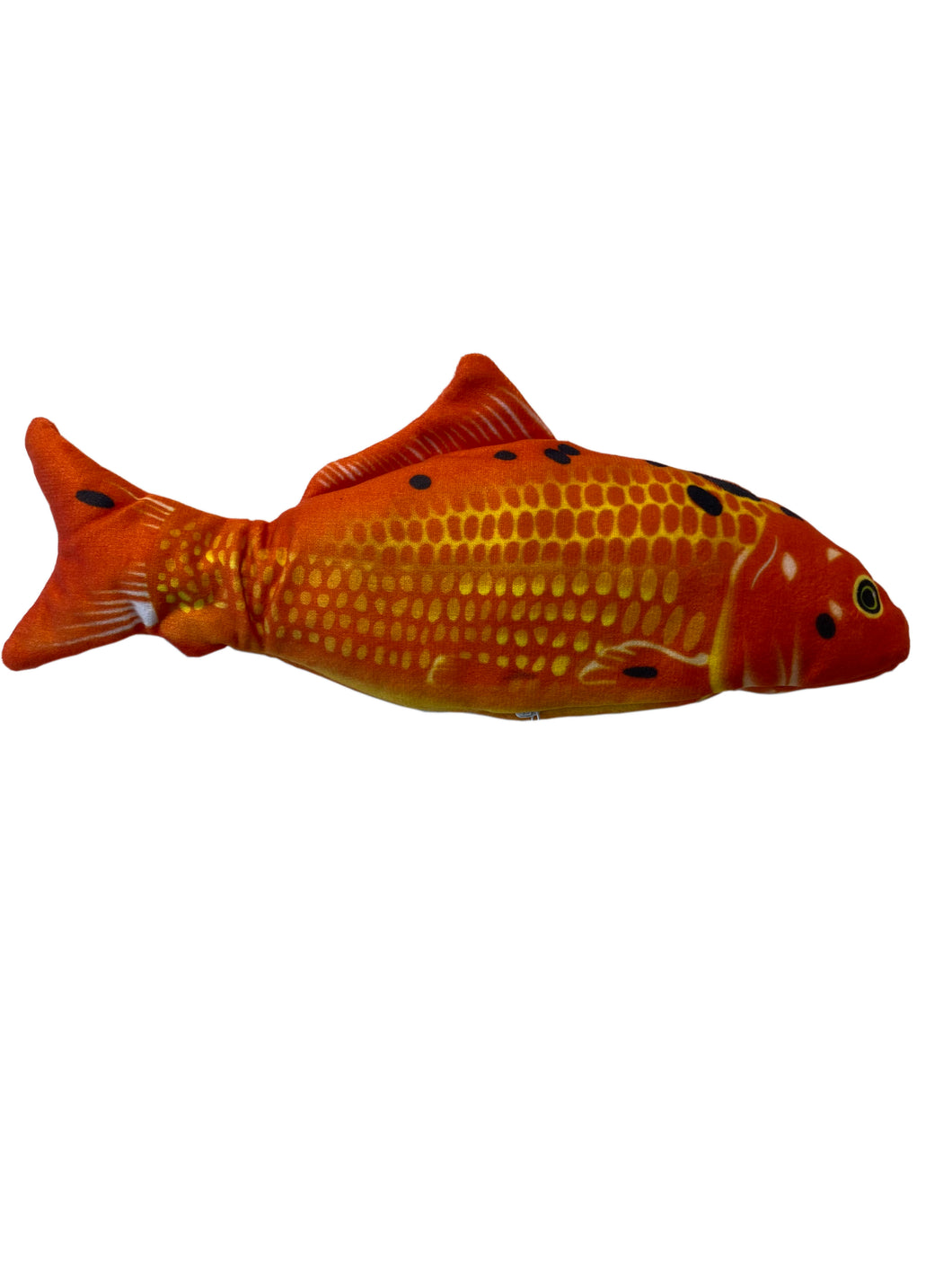 Fjör-fiskur