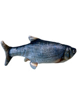 Load image into Gallery viewer, Fjör-fiskur
