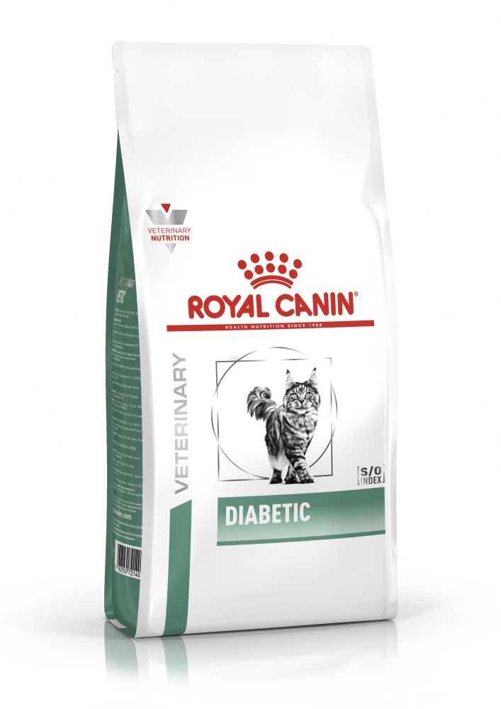 Diabetic Cat